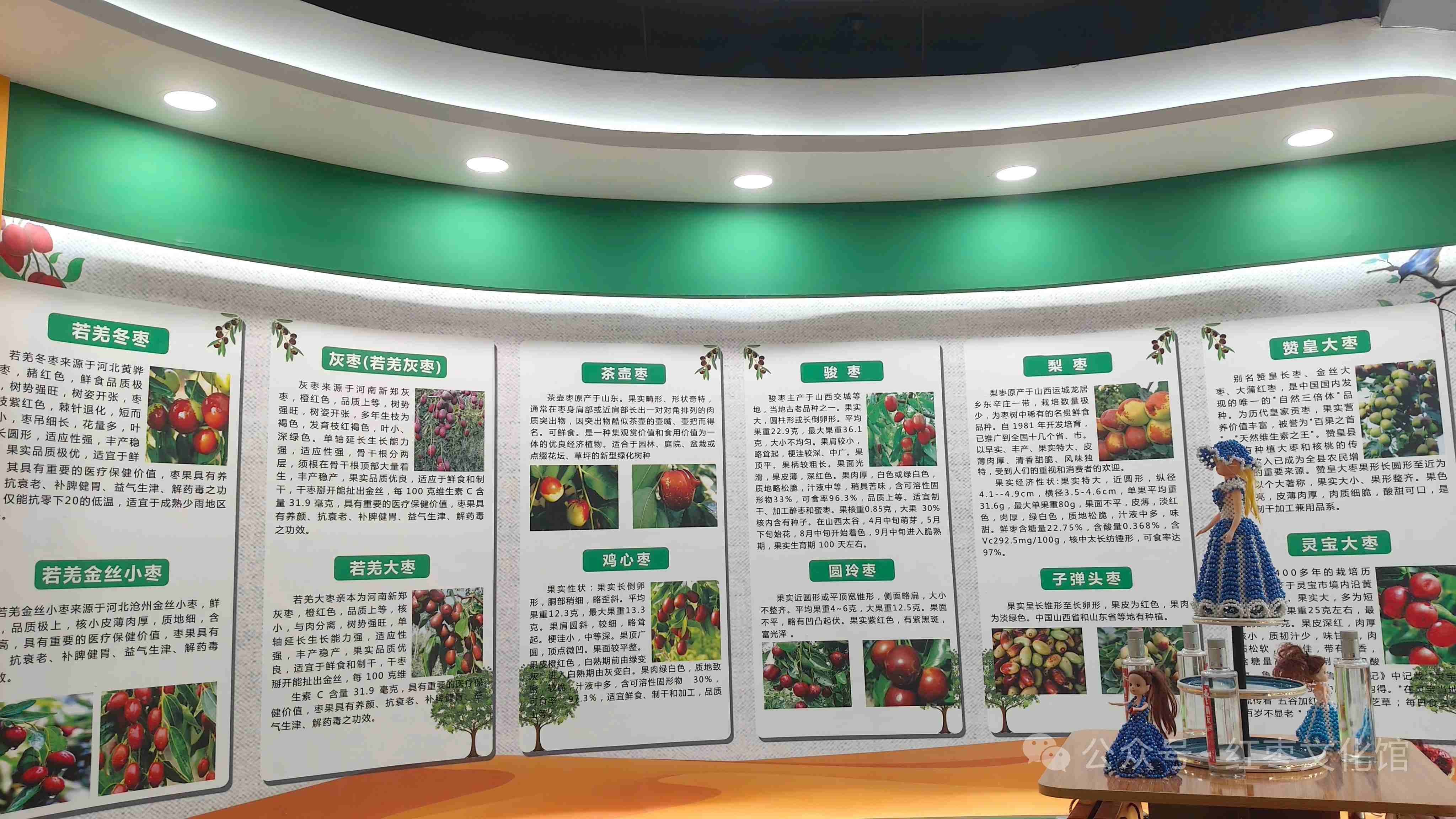 羌枣大叔